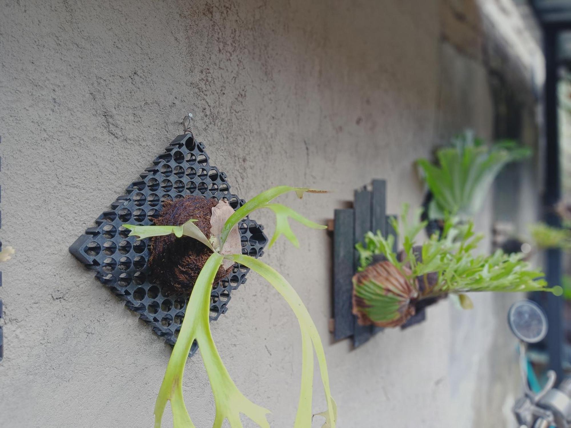 Sudana Homestay Ubud Exterior foto